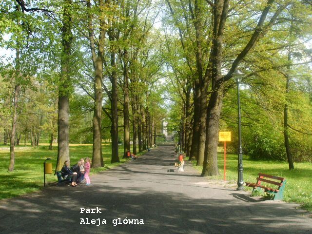 16glowna aleja park