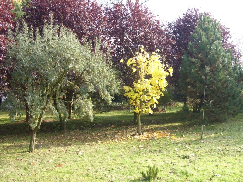 ranczo 25