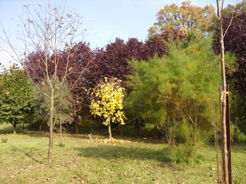ranczo 28
