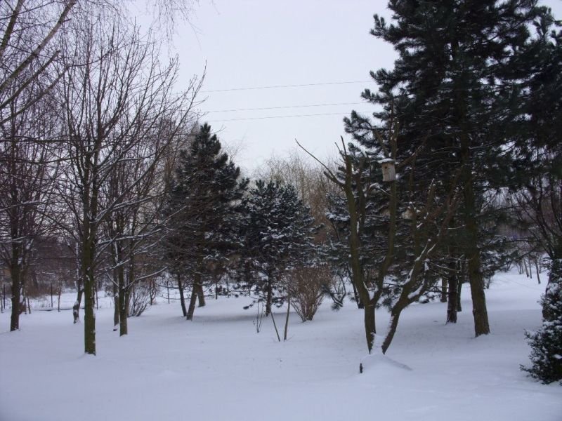 zima 07